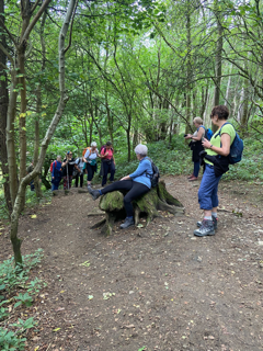 A group member sitting on a wide tree stump in a wooded area with other members standing around or catching up