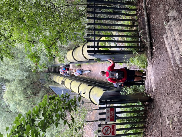 The group crosses a narrow lowered bridge surrounded by trees