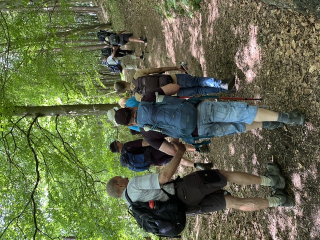 The group, all seemingly equipped with backpacks, walk down a dirt path under tall trees, in sunny weather