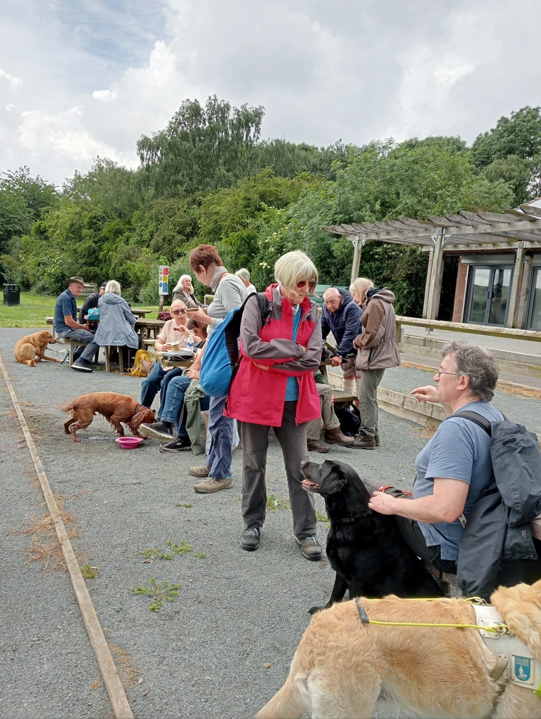 An angled shot of the group, some sitting at benches, with four guide dogs present